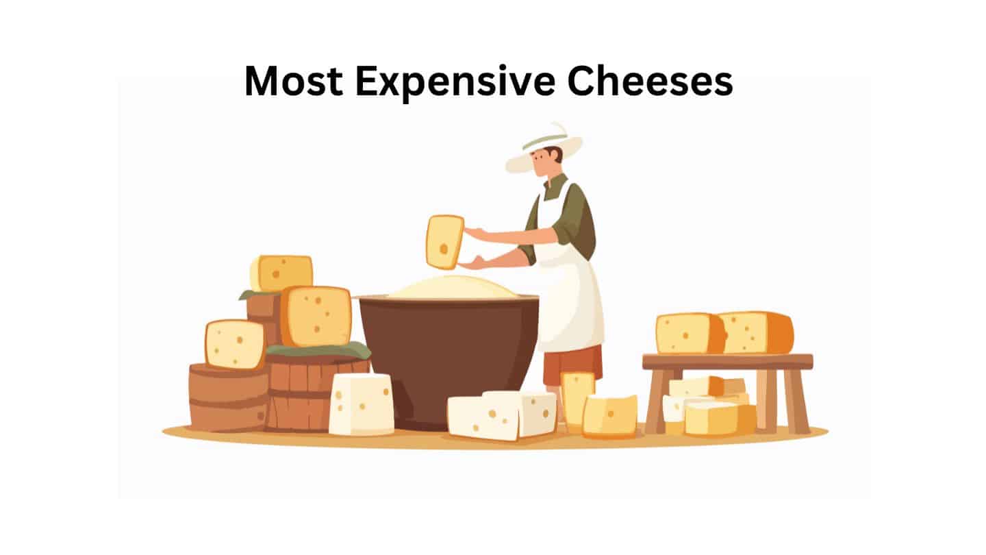 Top 10 Most Expensive Cheeses In The World